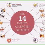 Allergene Kennzeichnungspflicht Vorlage Schön Unvergesslich Allergene Speisekarte Vorlage 2019