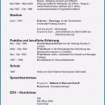 Amerikanischer Lebenslauf Vorlage Kostenlos Beste 21 Bewerbung Amerikanisch Muster