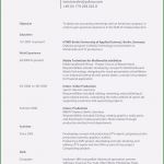 Amerikanischer Lebenslauf Vorlage Kostenlos Erstaunlich 15 Beispiel Amerikanischer Lebenslauf Resume Muster