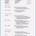 Amerikanischer Lebenslauf Vorlage Kostenlos Erstaunlich 80 Beste Amerikanischer Lebenslauf Muster