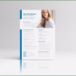 Amerikanischer Lebenslauf Vorlage Kostenlos Fabelhaft Amerikanischer Lebenslauf Lebenslauf Beispiel