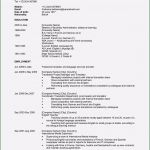 Amerikanischer Lebenslauf Vorlage Kostenlos Hübsch 15 Beispiel Amerikanischer Lebenslauf Resume Muster