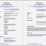 Amerikanischer Lebenslauf Vorlage Kostenlos Hübsch Albert Einstein Lebenslauf Kostenlos tolle Amerikanischer