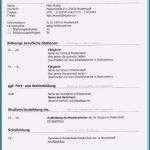 Amerikanischer Lebenslauf Vorlage Kostenlos Schön Lebenslauf Muster Modern Kostenlos Vereinbarung Muster