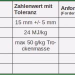 Anforderungsliste Vorlage Word Wunderbar Anforderungsliste software Beispiel Essay Essay for You