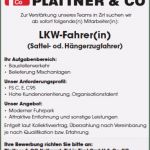 Anforderungsprofil Vorlage Kostenlos Inspiration Lebenslauf Nach Ausbildung Muster Beispiele 25 Editierbar