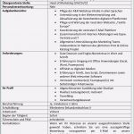 Anschreiben Key Account Manager Vorlage Bewundernswert 15 Anschreiben Key Account Manager