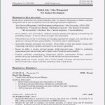 Anschreiben Key Account Manager Vorlage Elegant 11 Key Account Manager Bewerbung