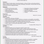 Anschreiben Key Account Manager Vorlage Erstaunlich 14 Key Account Manager Bewerbung