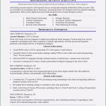 Anschreiben Key Account Manager Vorlage Erstaunlich Bewerbung Kommissionierer Kann Sein Von 11 Key Account