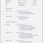 Anschreiben Key Account Manager Vorlage Gut Lebenslauf Vorlage Aktuell Lebenslauf Beispiel
