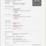 Anschreiben Vorlage Openoffice Schön 20 Lebenslauf Vorlage Openoffice