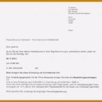 Antwort Auf Absage Bewerbung Vorlage Cool 13 Kurzbewerbung Nebenjob