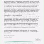 Arbeitszeugnis Maler Und Lackierer Vorlage Angenehm 17 Bewerbung Muster Fahrer