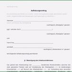 Aufhebungsvertrag Gbr Muster Vorlage Kostenlos Genial 9 Bitte Um Aufhebungsvertrag Auf Wunsch Des Arbeitnehmers