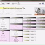 Auftragsbuch Vorlage Einzigartig Abstammungsnachweis Iii