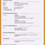 Ausbildung Lebenslauf Vorlage Erstaunlich 11 Lebenslauf Ausbildung Vorlage Word