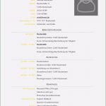 Ausbildung Lebenslauf Vorlage Inspiration Lebenslauf Wie Er Dir Professionell Gelingt