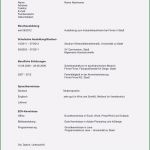 Ausbildung Lebenslauf Vorlage Neu Lebenslauf Vorlage Xing Angenehm Bewerbung Line Schreiben