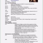 Ausbildung Lebenslauf Vorlage Wunderbar 11 Tabellarischer Lebenslauf Muster Ausbildung