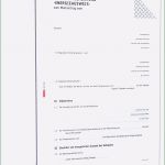 Außerordentliche Kündigung Private Krankenversicherung Vorlage Großartig 5 Kundigung Lebensversicherung Vorlage