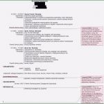 Babysitter Flyer Vorlage Deutsch Best Of 12 13 Beispiele Für Babysitter Flyer