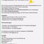 Babysitter Vorlage Angenehm 12 Babysitter Lebenslauf Vorlage