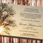 Babytagebuch Vorlage Zum Ausdrucken Erstaunlich Babytagebuch Vorlage Zum Ausdrucken Neu Babytagebücher