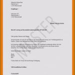 Bafög Antrag Zurückziehen Vorlage Cool 14 Erstaunlich Antrag Verein Vorlage Eben Se Können