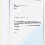 Bafög Antrag Zurückziehen Vorlage Gut 11 Limitierte Auflage Antrag Auf Elternzeit Vorlage Im