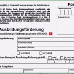 Bafög Antrag Zurückziehen Vorlage Schön Bafög formulare Richtig Ausfüllen