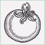 Barkarte Vorlage Best Of Schwarzweiss Weinglas Vektor Abbildung Illustration Von