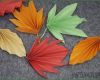 Basteln Für Herbst Vorlagen Erstaunlich Papier Falten Für Bunte Herbstblätter Basteln Mit