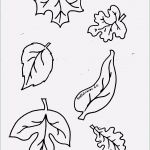 Basteln Für Herbst Vorlagen Hübsch Herbstblätter Basteln Malvorlagen – Ausmalbilder Für