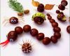 Basteln Für Herbst Vorlagen Wunderbar Herbst Basteln Vorlagen Kinderbilder Download