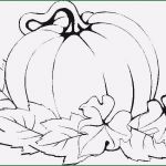 Basteln Vorlagen Kostenlos Ausdrucken Herbst Süß Window Color Malvorlagen Herbst 10