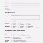 Befristeter Mietvertrag Vorlage Pdf Großartig Wohnungsmietvertrag Vorlage