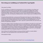 Berichtsheft Vorlage Fachkraft Für Lagerlogistik Best Of Fuer