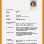 Beruflicher Lebenslauf Vorlage Einzigartig 15 Beruflicher Lebenslauf