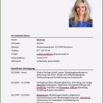 Beruflicher Lebenslauf Vorlage Einzigartig Lebenslauf Muster