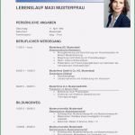 Beruflicher Lebenslauf Vorlage Erstaunlich 10 Beruflicher Lebenslauf