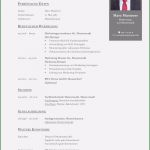 Beruflicher Lebenslauf Vorlage Genial Tabellarischer Lebenslauf Beruflicher Werdegang Neu