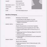 Beruflicher Lebenslauf Vorlage Großartig Tabellarischer Lebenslauf Tipps Und Praktische Beispiele