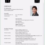 Beruflicher Lebenslauf Vorlage Schön Lebensläufe In Hr „konsequent überraschend Bunt