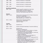 Beruflicher Lebenslauf Vorlage Wunderbar 14 Bewerbung Lagerlogistik