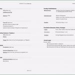 Beruflicher Lebenslauf Vorlage Wunderbar 15 Gut Beruflicher Lebenslauf Vorlage Bilder