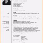 Beruflicher Lebenslauf Vorlage Wunderbar 16 Lebenslauf Mit Elternzeit Muster