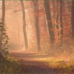 Berufsunfähigkeitsversicherung Kündigen Vorlage Best Of Kündigung Der Haftpflichtversicherung Vorlage Und Muster