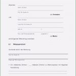 Berufsunfähigkeitsversicherung Kündigen Vorlage Elegant 5 Private Haftpflichtversicherung Kundigen Vorlage