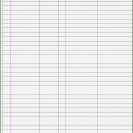 Bestandskonten Vorlage Schön 5 T Konten Eroffnungsbilanz Vorlage Meltemplates